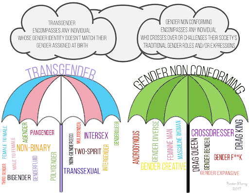 Transpire Help illustration showing gender identity terminology.